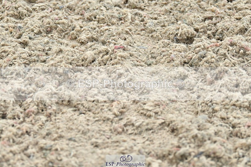 230721A-114922-05869 - Cls 18, 1 Star Silver 1.20m