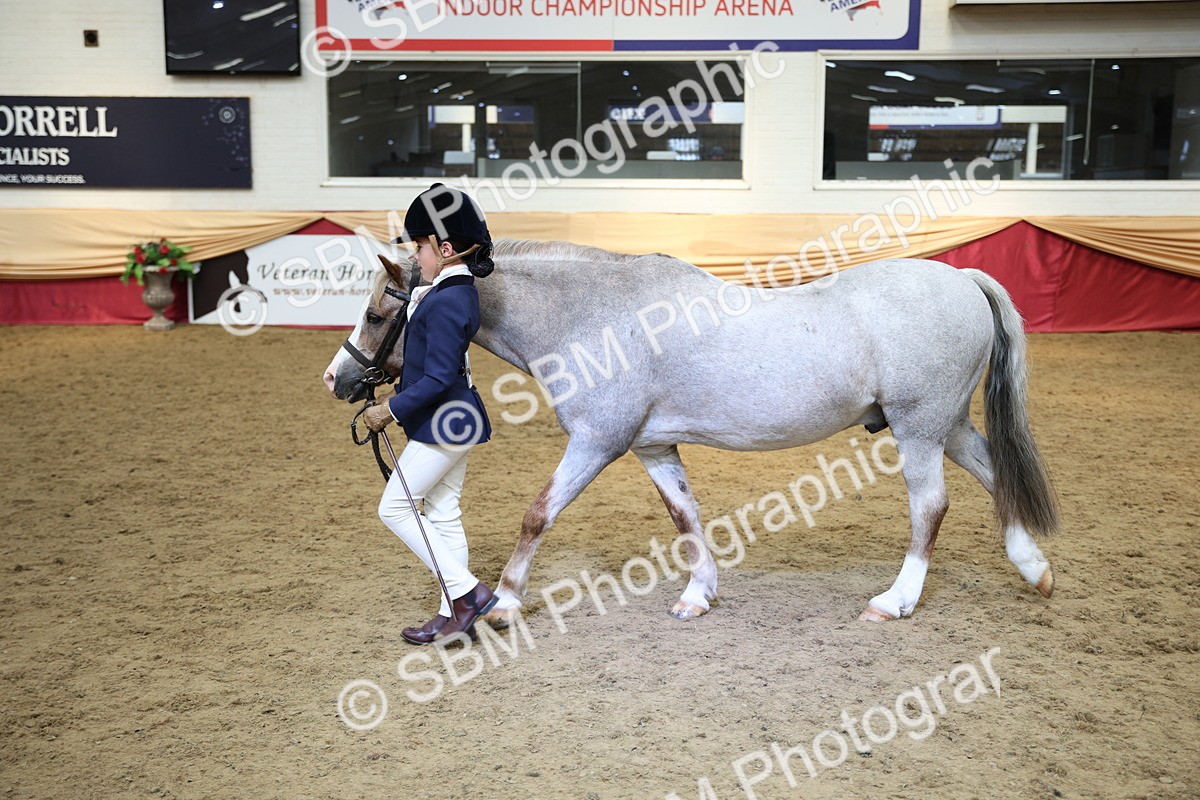 SBM_24265 - Class 905 - Supreme Final - Ridden Veteran
