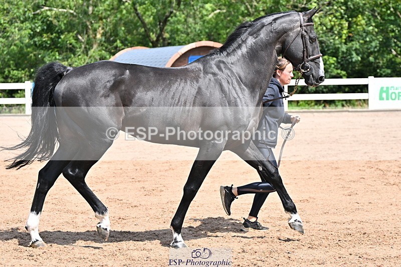 240718A-105241-01021 - Trot Up 11am to 12pm