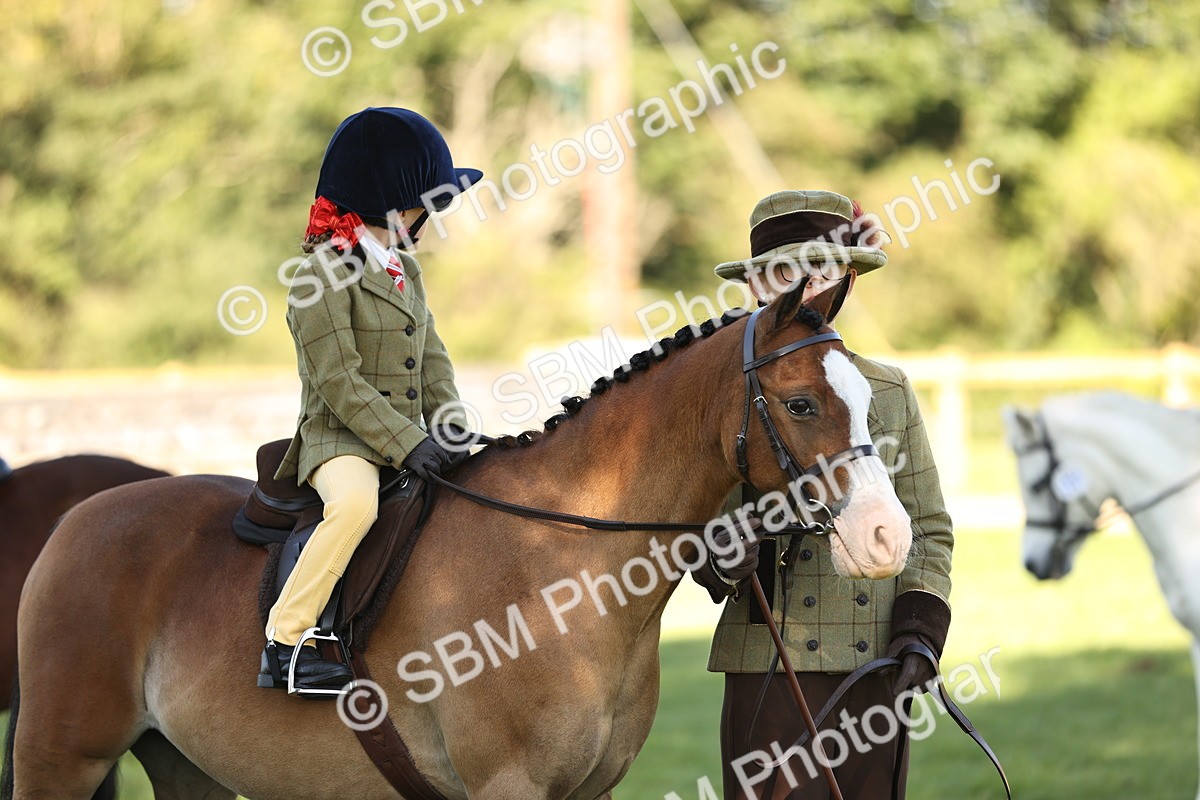 SBM_19268 - S3 - TSR Ridden Pony Showing