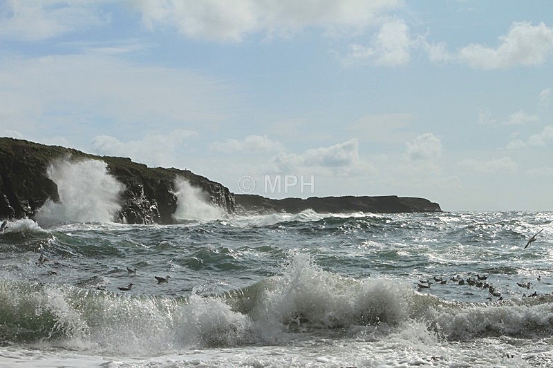 117 - Gallery 1