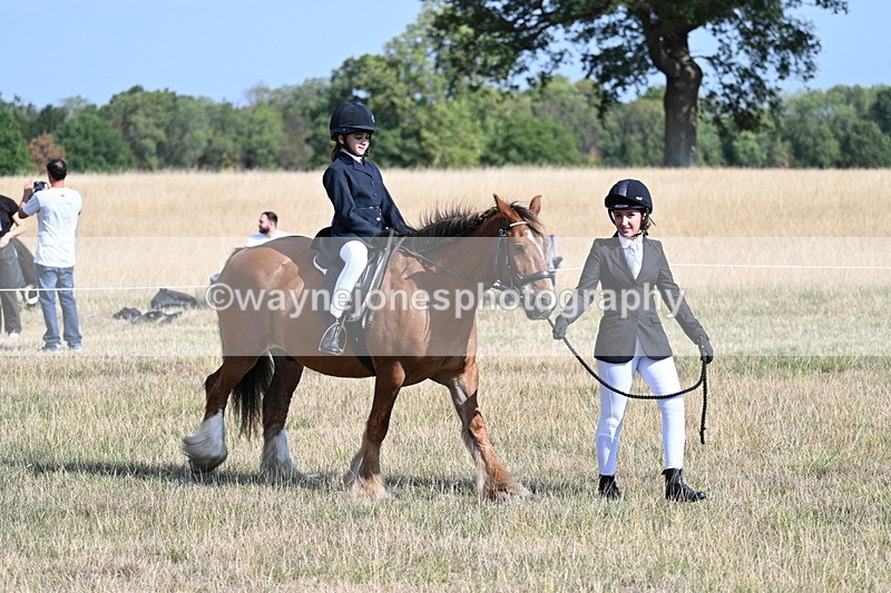 WJ7_2702 - Class 8 Ridden Tack & Turnout