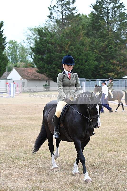 WJ7_0279 - Class 6 Ridden Mountain and Moorland