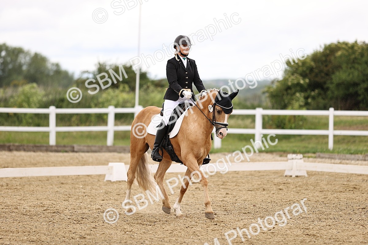 SBM_002085 - Class 2 - Novice 4 - 10.36-11.39