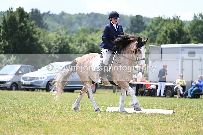 WJ7_8199 - Time 13:35 to 13:40