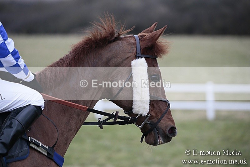 PtP 180218 340 - Combined Services Point-to-Point Larkhill 18/02/18