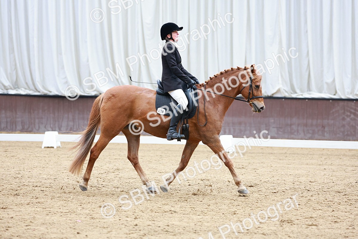 SBM_007558 - Class 7 - N2