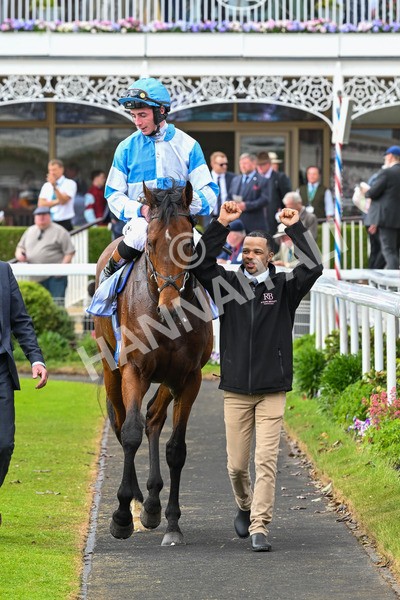 150525-Pride Of Arras-4745 - Race 4 3.45pm Al Basti Equiworld Dubai Dante Stakes