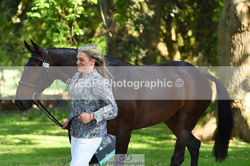 230524-160520-00675 - 257-TURBO-Isabelle_Cook-WEDTrotUp+DR