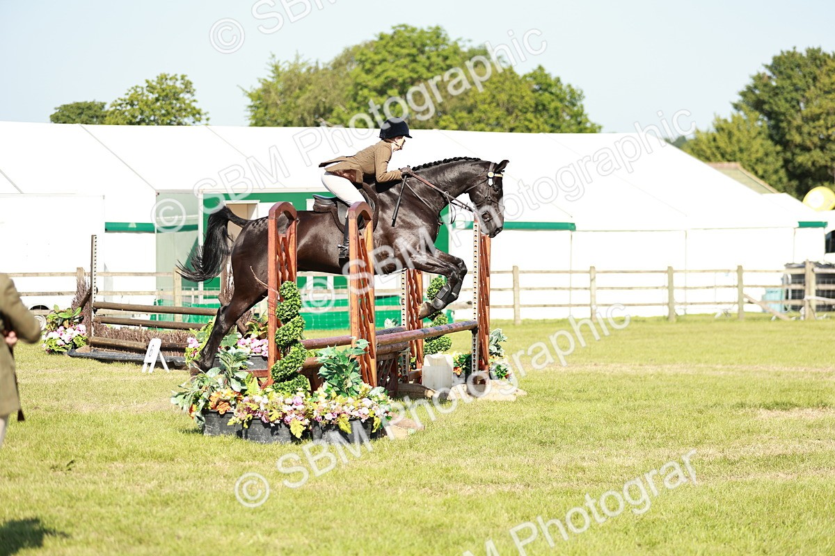 SBM_19155 - Class 115-116 - LIHS BSHA Rising Star Working Hunter & Show Horse