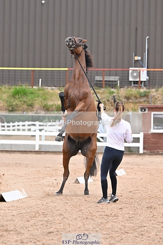 250716-141833-01008 - Trot Up 1.30 to 2.30