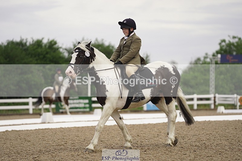 230708A-090434-00021 - Intro C