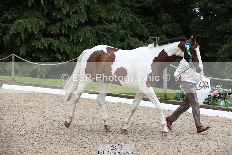 230812-145008-04819 - Novice Silver Presentations