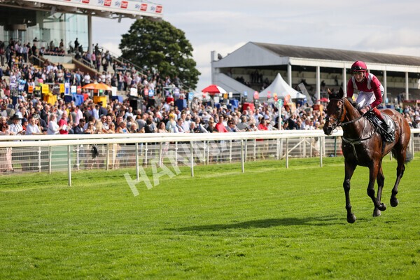 yr18082021r4-111 - Race 4 3.35pm Juddmonte International Stakes (British Champion Series race)