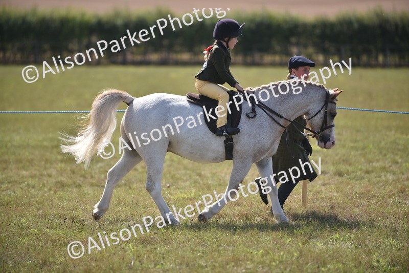20260906-1773 - Class 11 - 13hh and Under