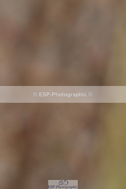 231104A-151840-01011 - Cls 20 FEI Inter I