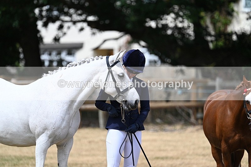 WJ7_1648 - Class 4 Prettiest Mare up to 14.2hh in hand