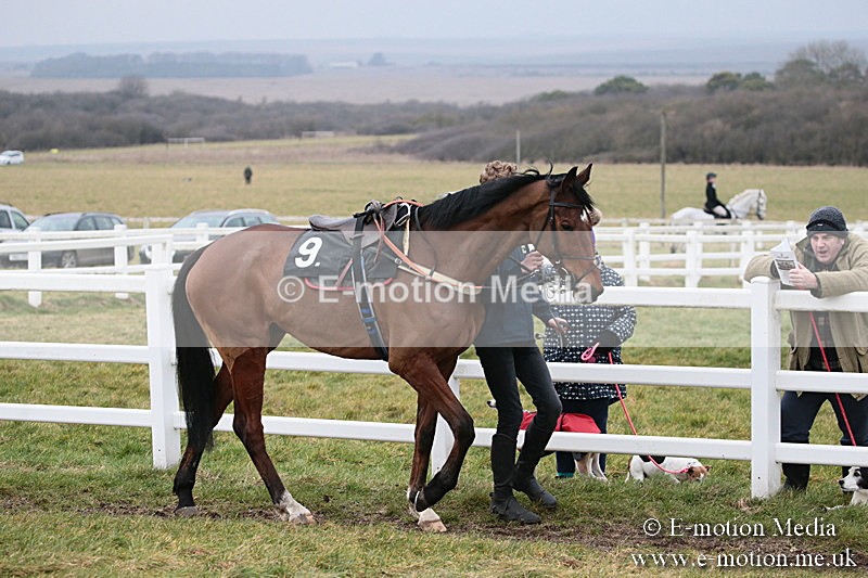 PtP 170219 -42 - Combined Services Point-To-Point Larkhill 17/02/19