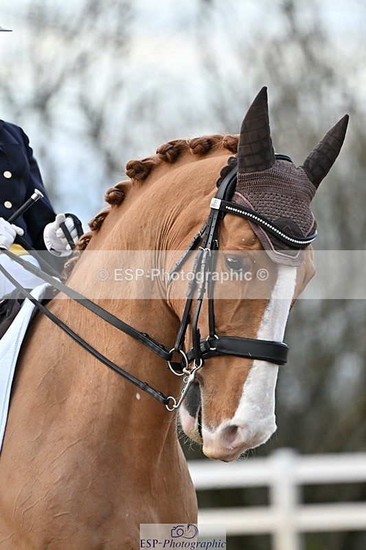 241214-153151-03286 - 109-Katharine.Lewis-Albertho.B