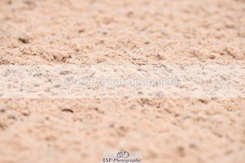 230702A-131010-10314 - Cls 1, 3+4 Intro A, Prelim 12+18