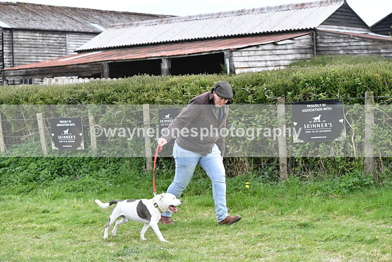 WJ5_9960 - Class 5 Best Veteran / 7 years & over