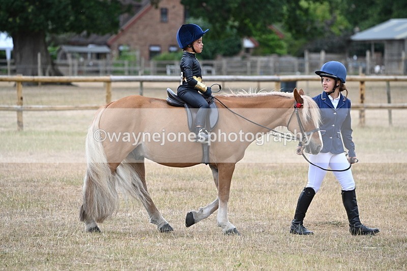 WJ6_8815 - Class 11 Fancy Dress