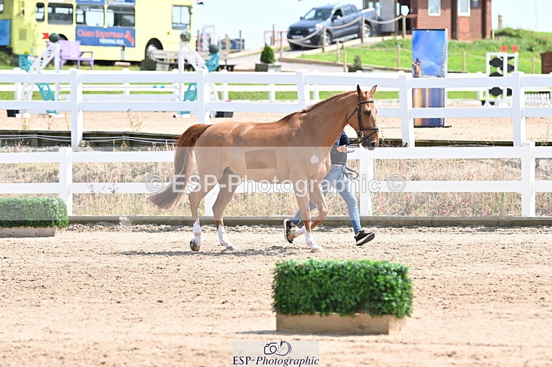 240717A-150639-02543 - Trot Up 3pm to 4pm