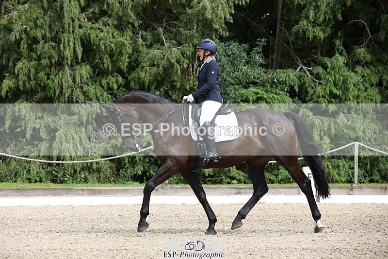 230812-152329-05119 - Cls 5 Novice Bronze 15.00 to End