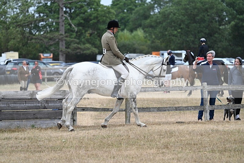 WJ7_0917 - Class 7 Riding Club Show Horse