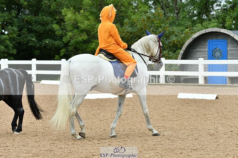 230804A-103008-01629 - Musical Ride