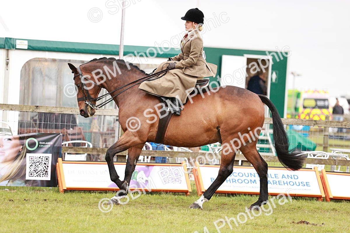 SBM_10985 - Class 81-84 - RIHS Ridden hunters Inc Ladies Hunter