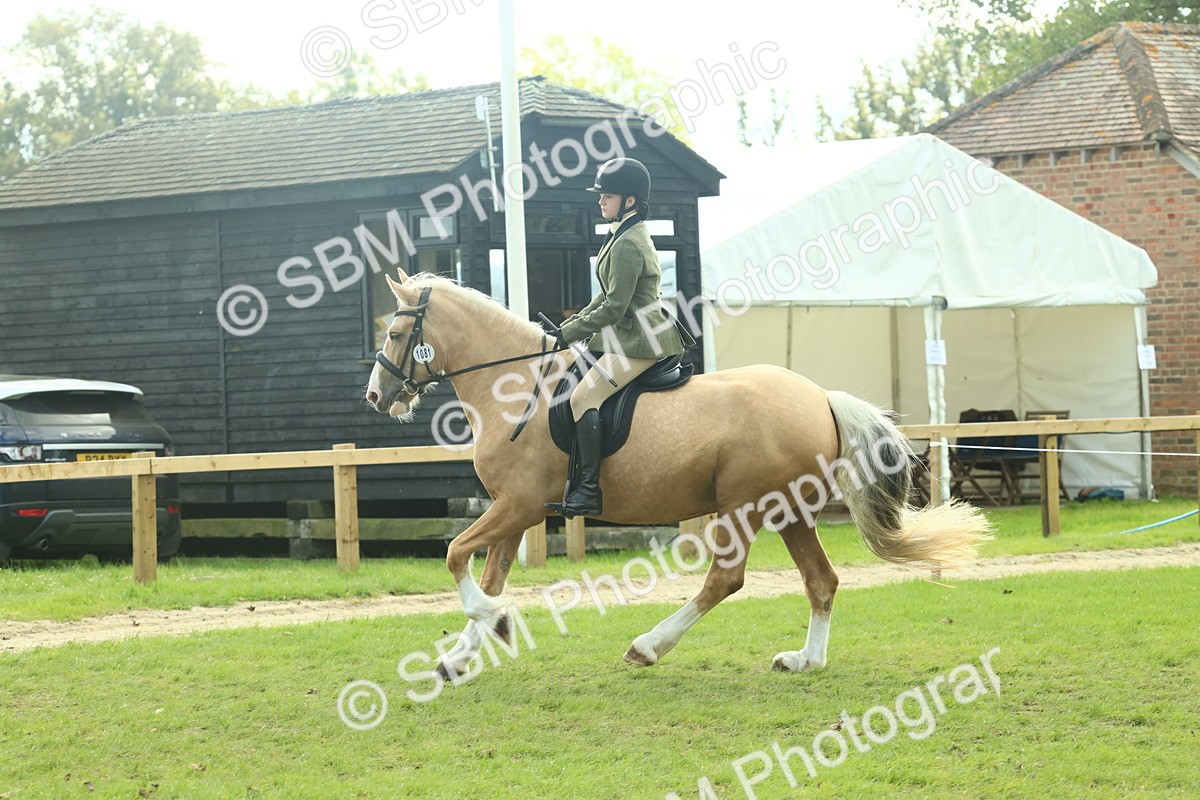 SBM_62660 - S63 - Other Coloured Horse Ridden
