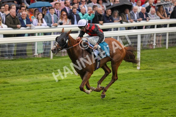 150723-Race 1-Blue For You-8753 - Race 1 2.00pm John Smith's Racing Handicap