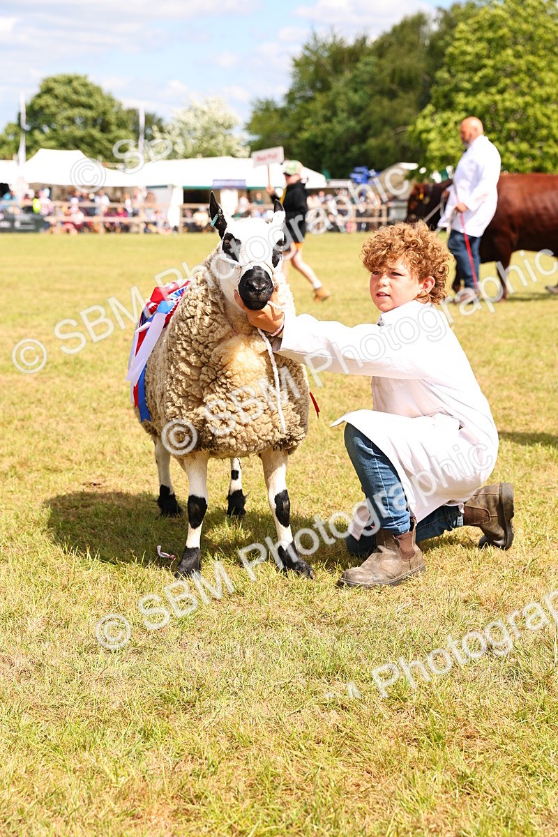 SBM_16970 - Grand Parade
