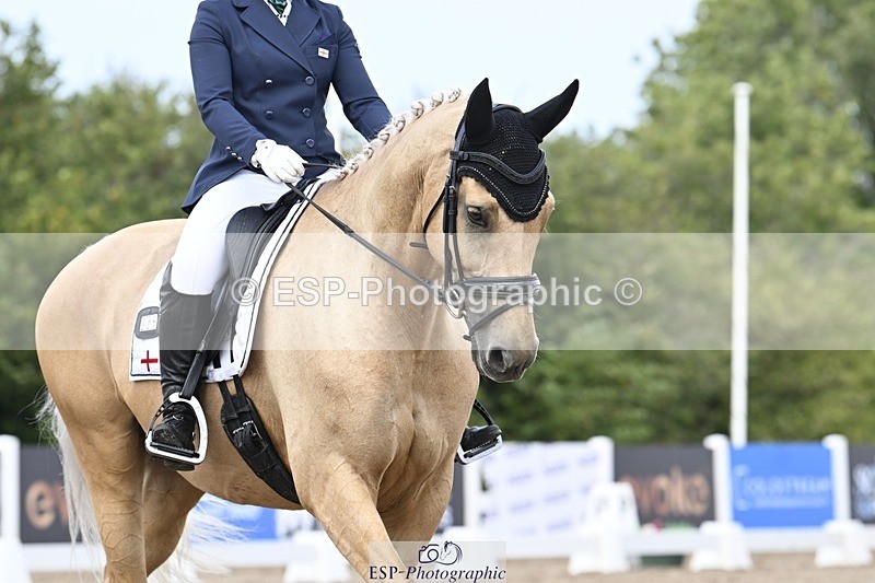 250907-131816-09903 - 025-Carrie.EveGekkos.Gold