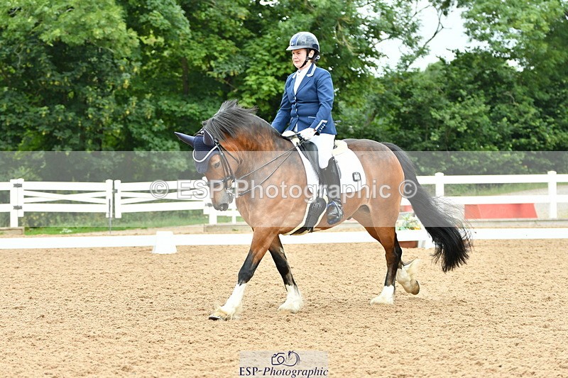 230701A-111433-04896 - Cls 9 Music Elementary