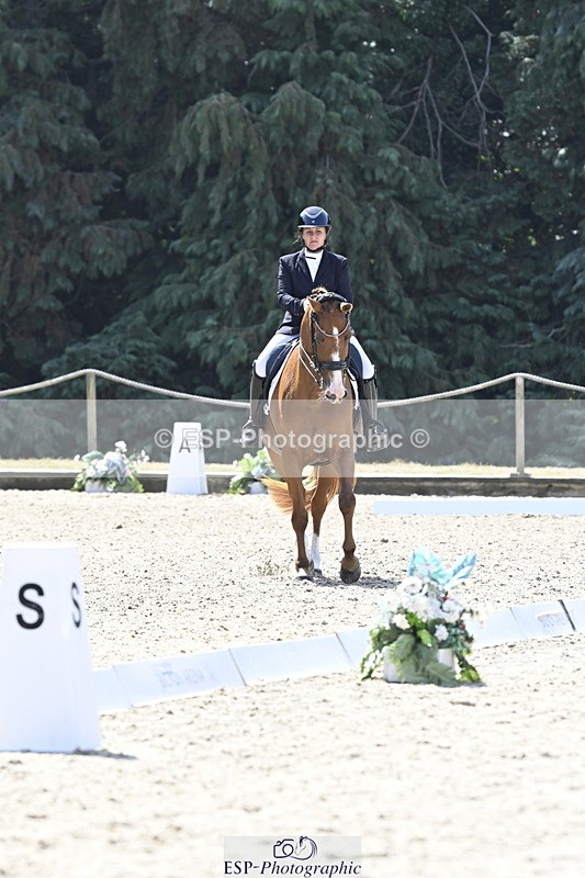 250810A-114419-05494 - 113-Stacey.EscrigJOIE.DE.VIVRE.III