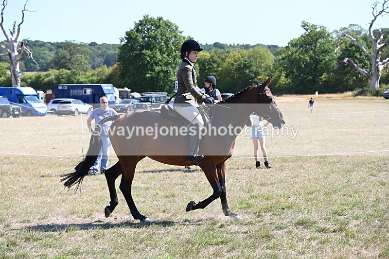 WJ6_8364 - Class 37a Best Loan Pony Ridden
