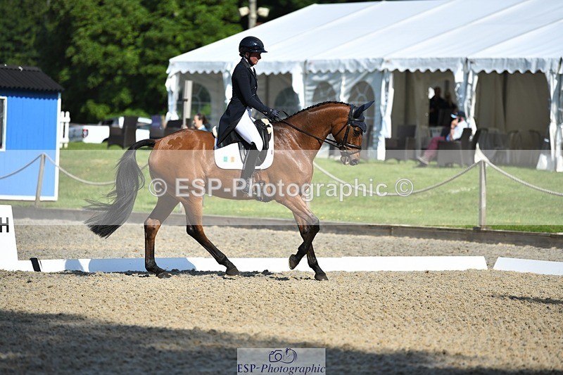 230525-091526-01565 - 303-JESMOND_RENARD-Susie_Berry-WEDTrotUp+DR