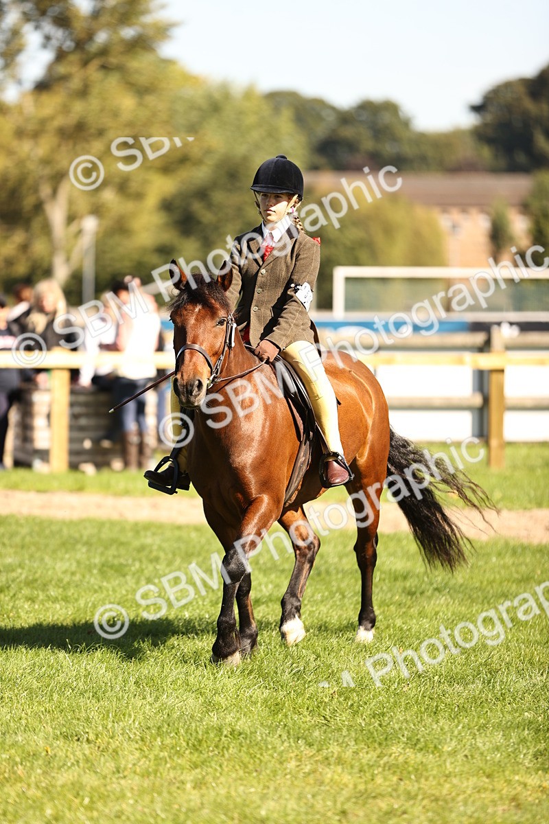 SBM_19166 - S3 - TSR Ridden Pony Showing