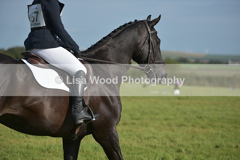 RAY_7426 - Class 2B: Trekenning Open: Dressage