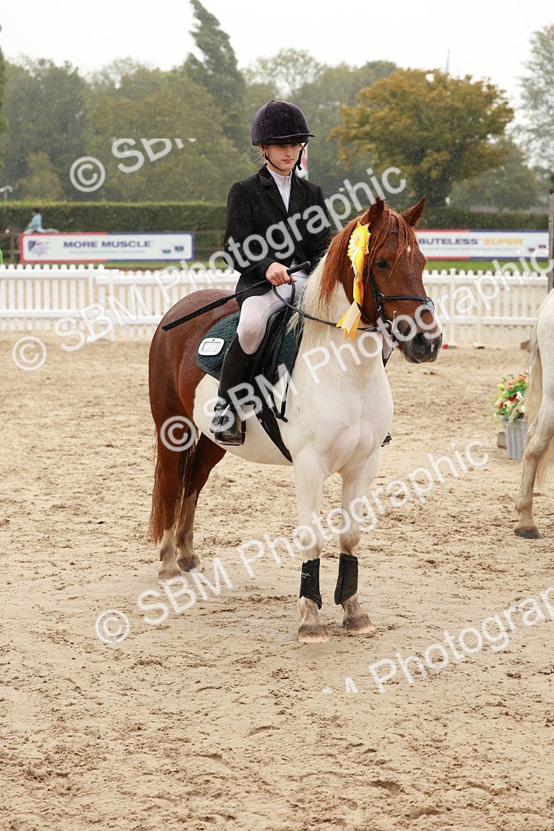 SBM_72315 - J14 - Junior Pony 65cm Championship