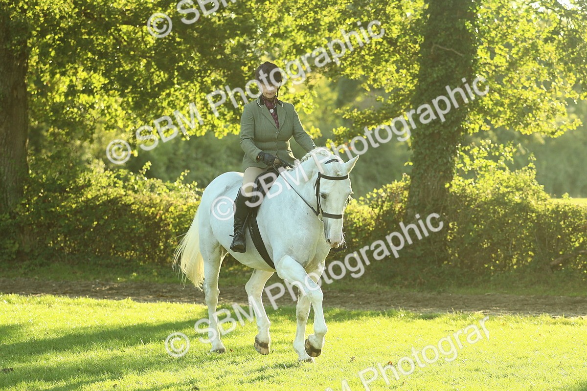 SBM_55566 - S14 - Riding Club Horse