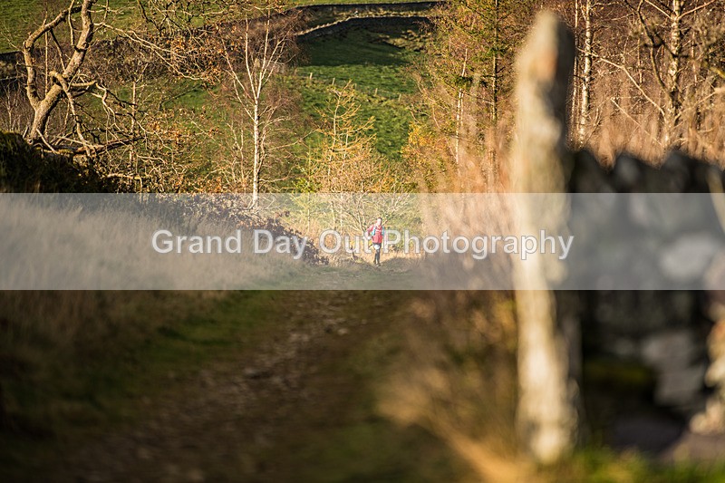 Tweed Valley-839 - High Terrain Events Tweed Valley 50 & 65K Ultra Trail Races Sunday 16th November 2025