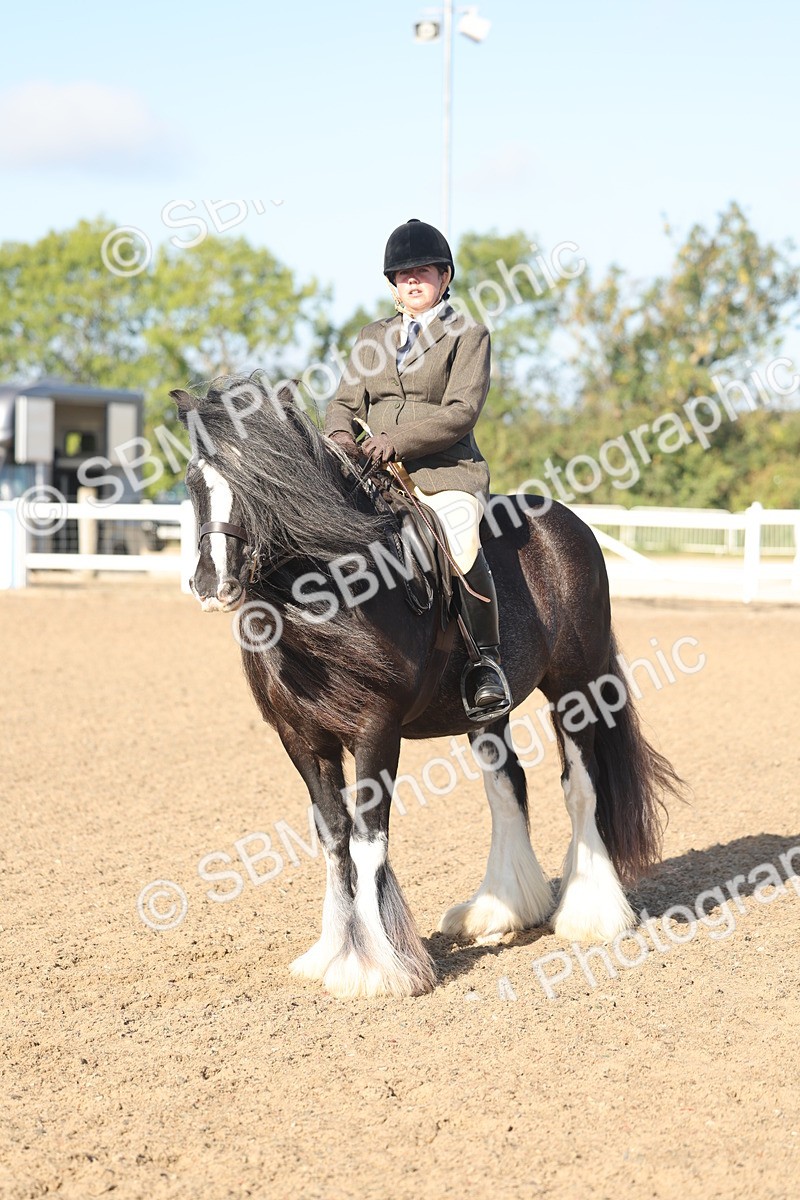 SBM_22219 - Class 802 - Ridden Groom Helpers Class