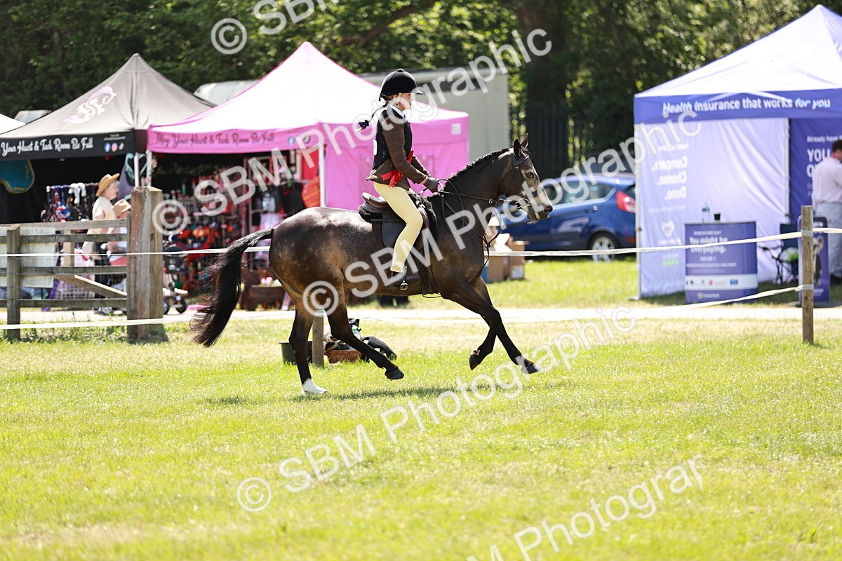 SBM_15786 - Class 108-109 - BSPS LIHS Open Gradle & Nursery Stakes