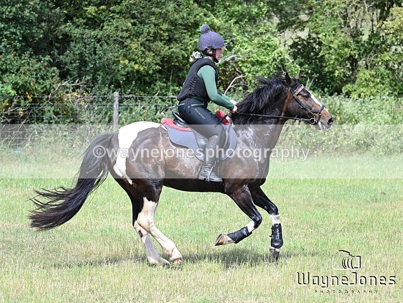 WJ7_9334 - Kellie Jade Ellie XC training with Kelly Harris 28-06-26