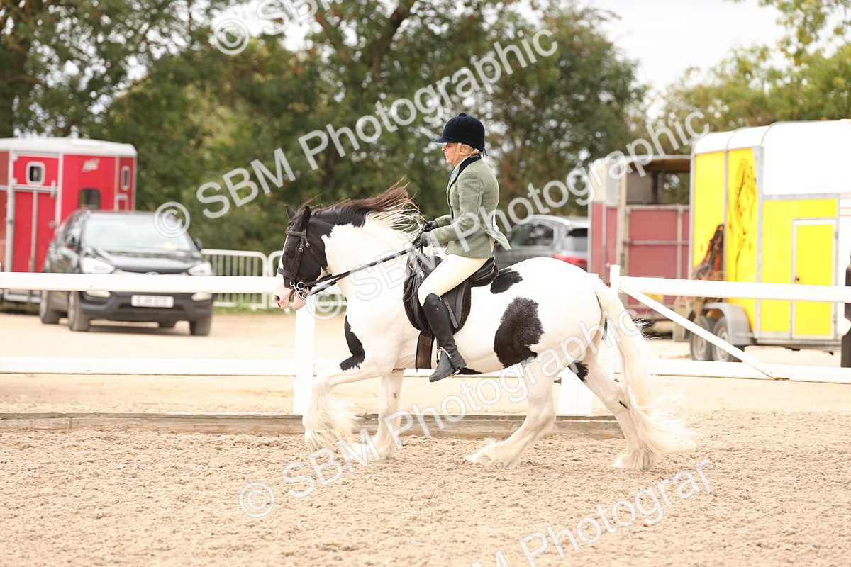 SBM_19687 - Class 216 - Ridden Traditional - Native Cob