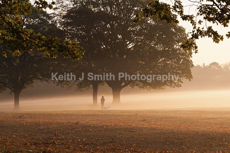 YR6M2828 (RM) - Abington Park & Northampton Town.