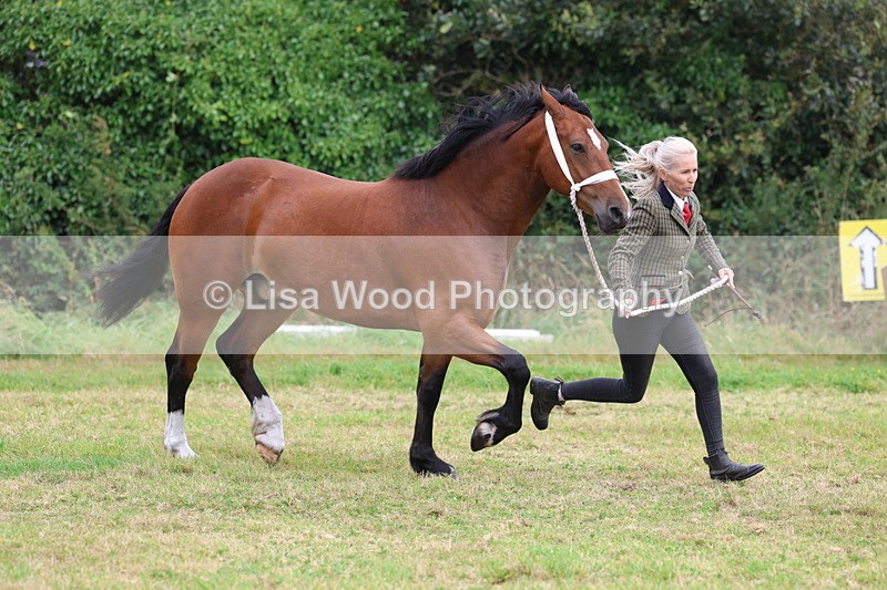 3E7A4384 - Class 15: Three Year Olds